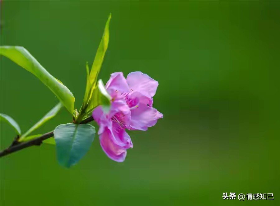 扑克牌花色季节含义_GG扑克热门牌型攻略_扑克牌历法对应关系